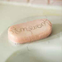 Load image into Gallery viewer, Dry Cleaning - Stumpwork