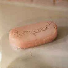 Load image into Gallery viewer, Dry Cleaning - Stumpwork