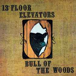 13th Floor Elevators - Bull Of The Woods