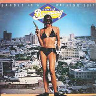 David Bromberg Band - Bandit In A Bathing Suit
