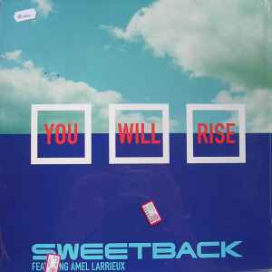 Sweetback Featuring Amel Larrieux - You Will Rise