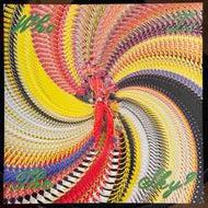 David Byrne With Ghost Train Orchestra - Who Is The Sky?