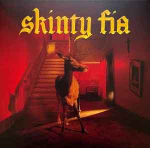 Fontaines D.C. - Skinty Fia