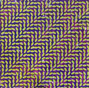 Animal Collective - Merriweather Post Pavilion