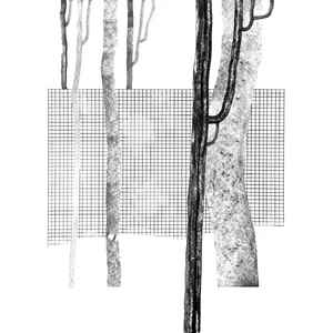 Various - Systema Naturae I