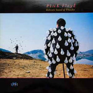 Pink Floyd - Delicate Sound Of Thunder