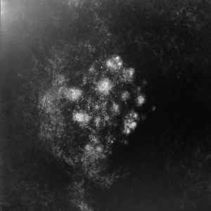 Saffronkeira - Synecdoche
