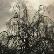 Colin Stetson And Sarah Neufeld - Never Were The Way She Was
