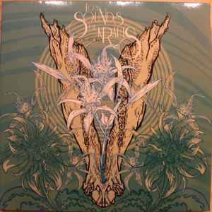 Colour Haze - Los Sounds De Krauts
