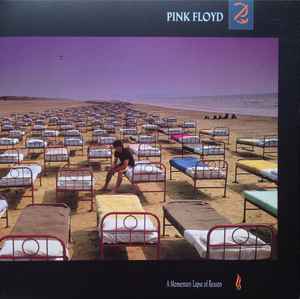 Pink Floyd - A Momentary Lapse Of Reason