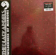 The Black Angels - Wilderness Of Mirrors