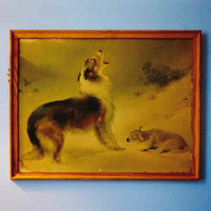 Explosions In The Sky - The Rescue 