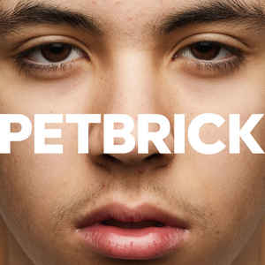 Petbrick - I