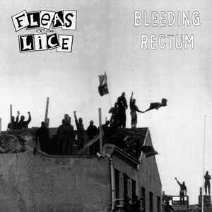 Bleeding Rectum - Fleas And Lice