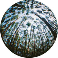 Various - Duality
