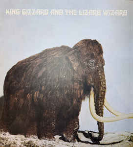 King Gizzard And The Lizard Wizard - Polygondwanaland