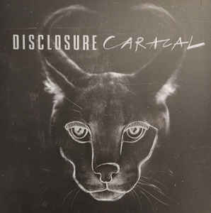 Disclosure  - Caracal