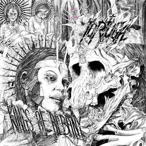 Tortuga - Kings Of Albany