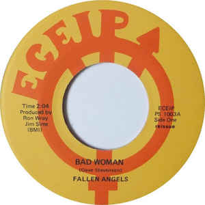 The Fallen Angels / Ric Gary With Ron Wray Light Show - Bad Woman / Pimples & Braces