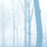 Blueneck - Scars Of The Midwest