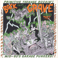 Various - Back From The Grave Volume Three