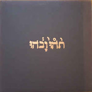 Godspeed You Black Emperor! - Slow Riot For New Zero Kanada E.P.