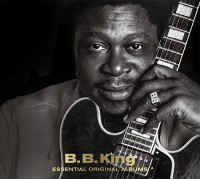 B.B. King - Essential Original Albums